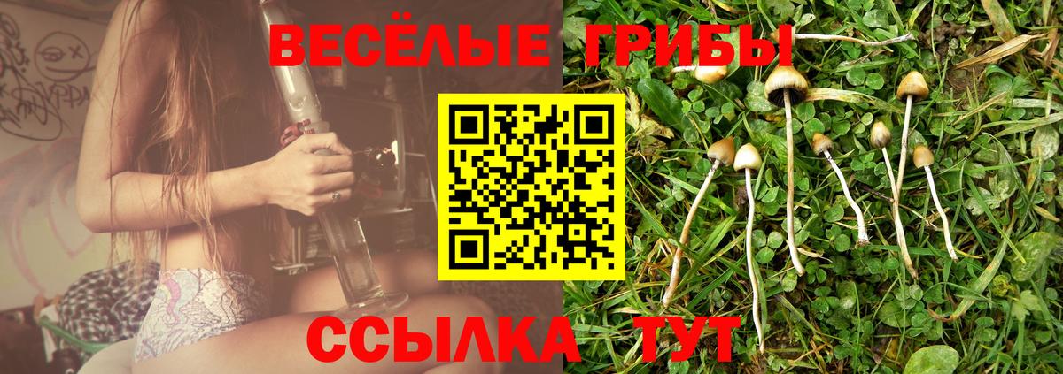 Псилоцибиновые грибы Magic Shrooms  Вход с VPN  Мирный 